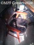 Mid-Century Modern Danish Chair